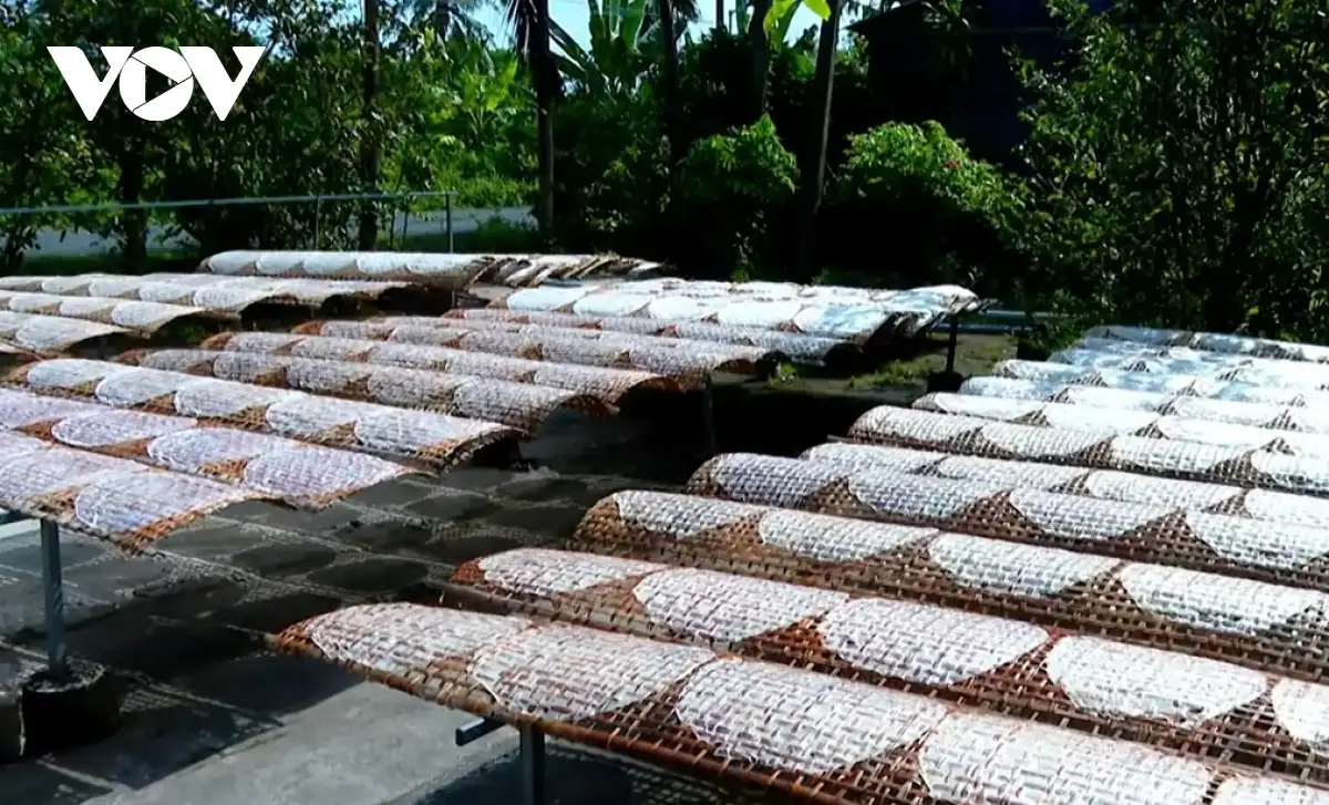 Đặc sản ĐBSCL – quà Tết mang hương vị truyền thống, nâng tầm giá trị OCOP