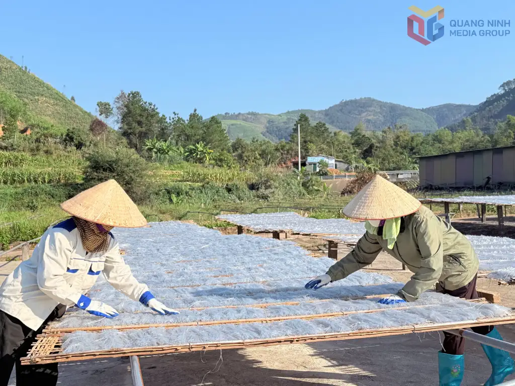 Đặc sản OCOP Quảng Ninh vào mùa Tết