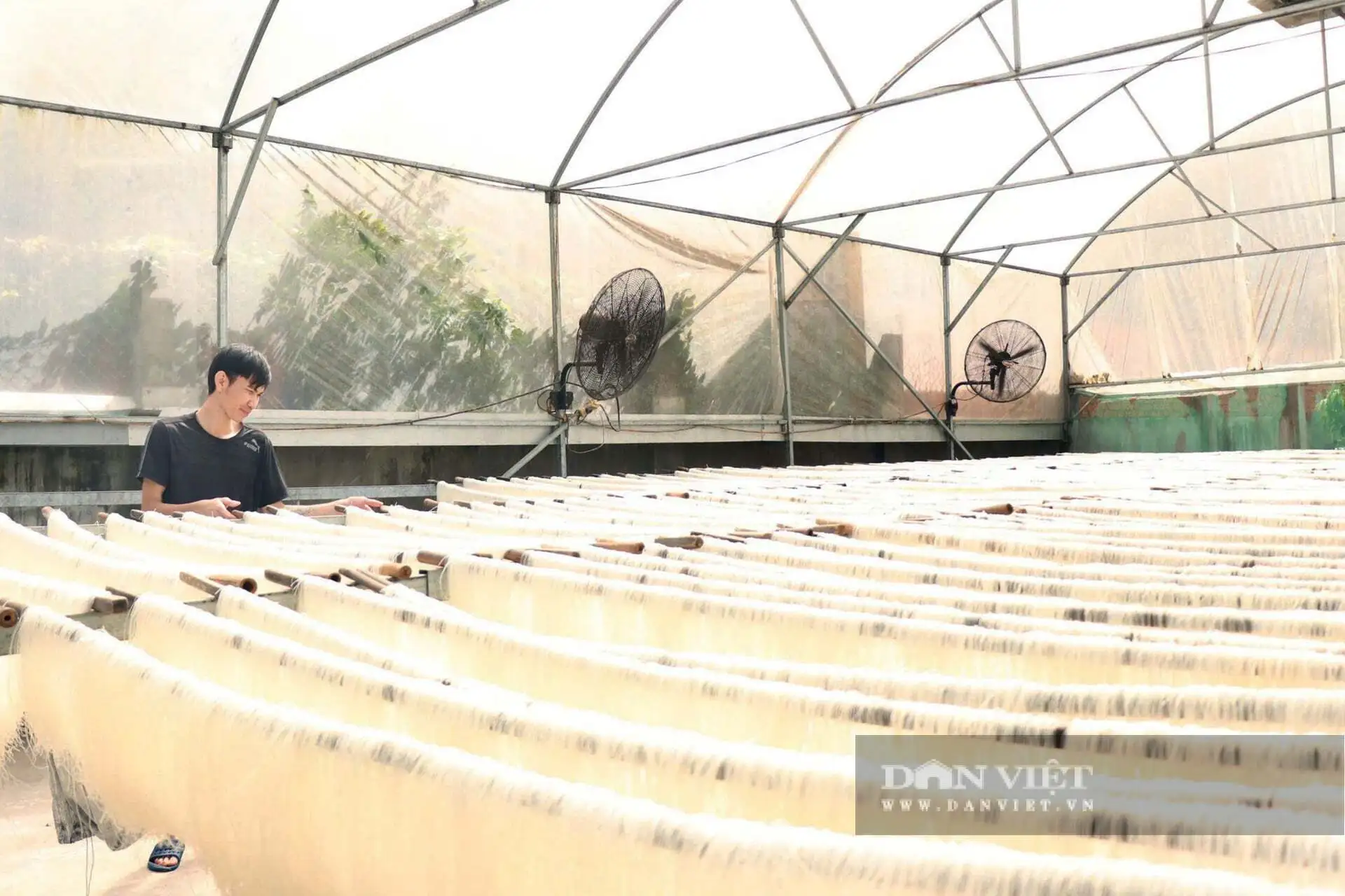 Đặc sản, sản phẩm sao OCOP ở tỉnh Đắk Lắk (gồm Phú Yên trước đây) đủ đầy thị trường, tha hồ mua sắm