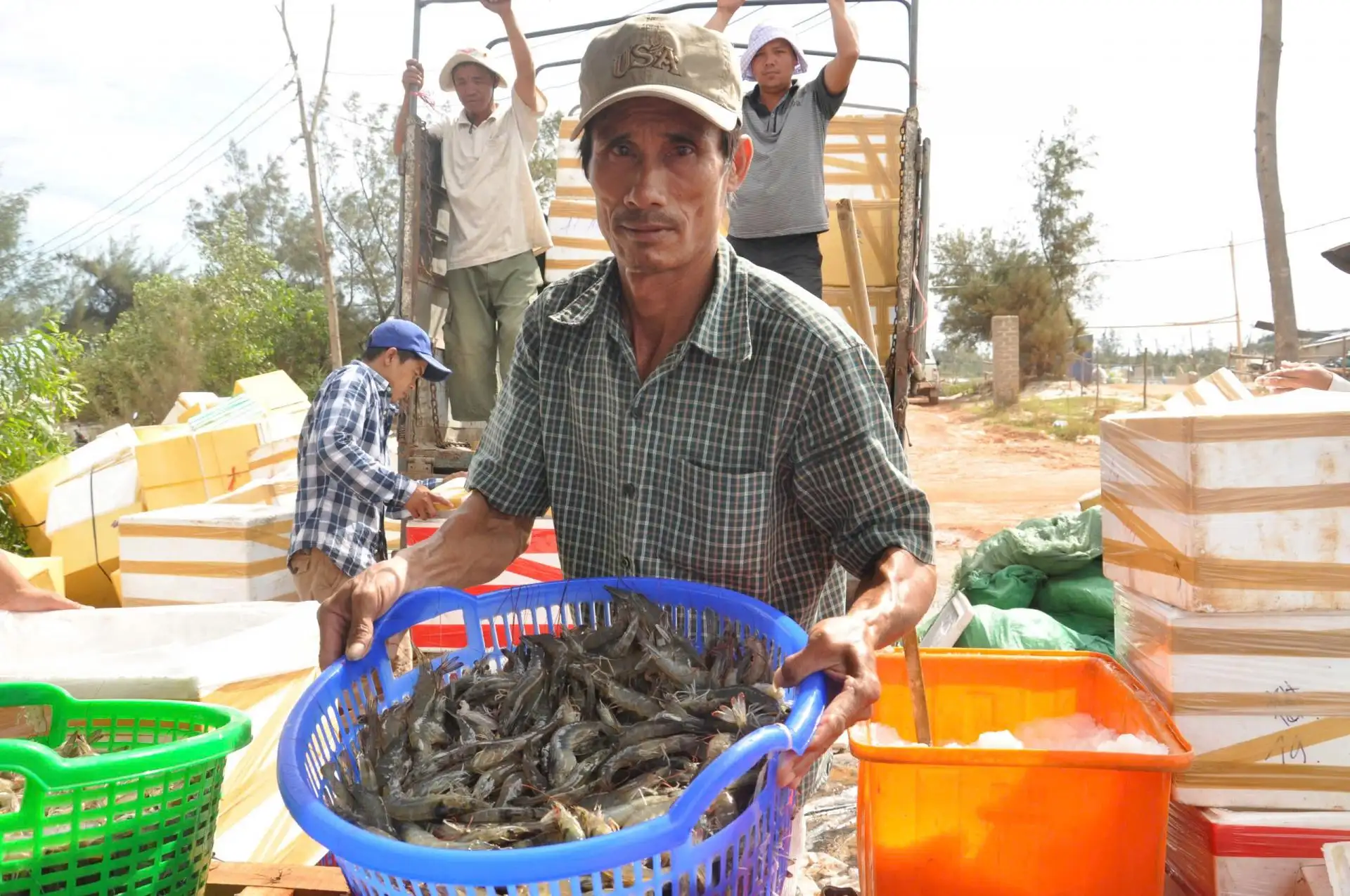 Đảm bảo con giống trong chiến lược phát triển thủy sản