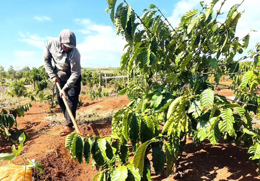 Ðảng gần dân, phát huy hiệu quả công tác giảm nghèo
