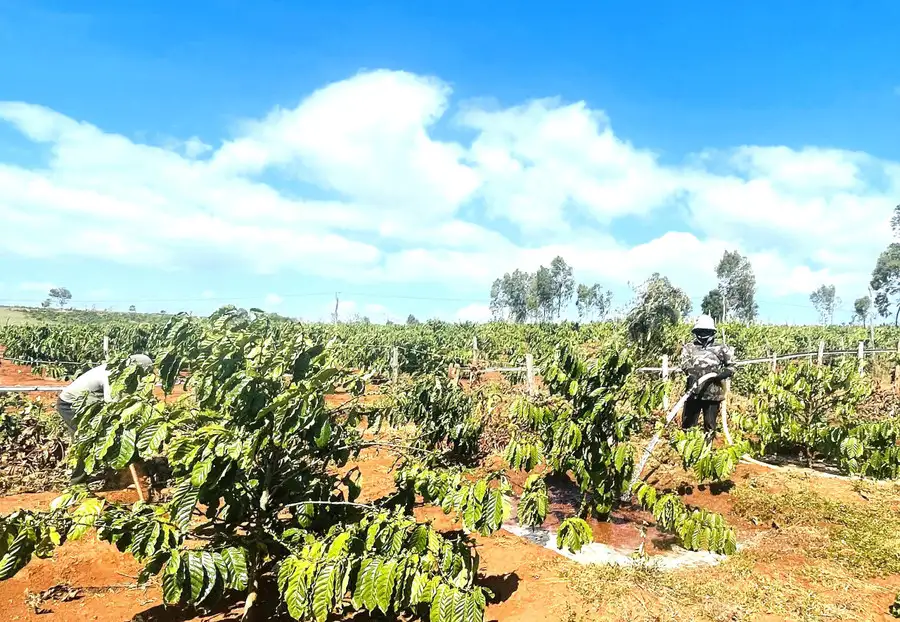 Ðảng gần dân, phát huy hiệu quả công tác giảm nghèo