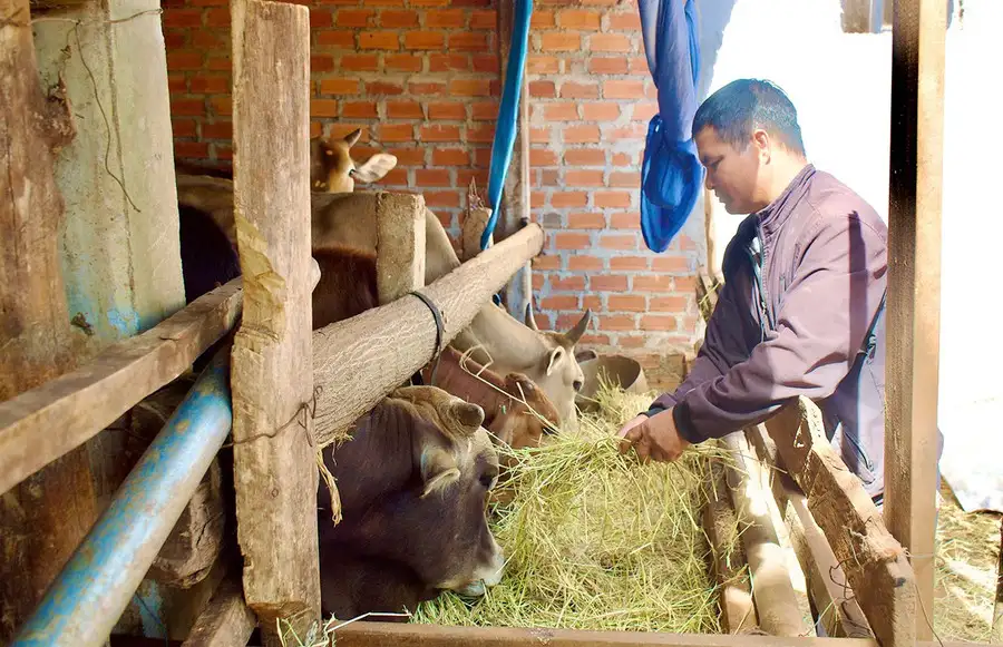 Đảng viên tiên phong, làng giảm nghèo bền vững
