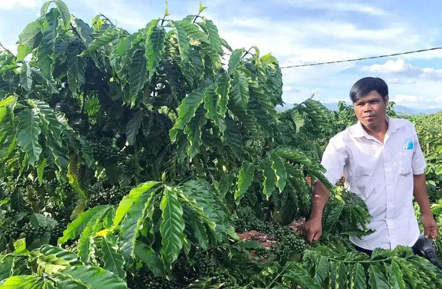 Đảng viên tiên phong, làng giảm nghèo bền vững