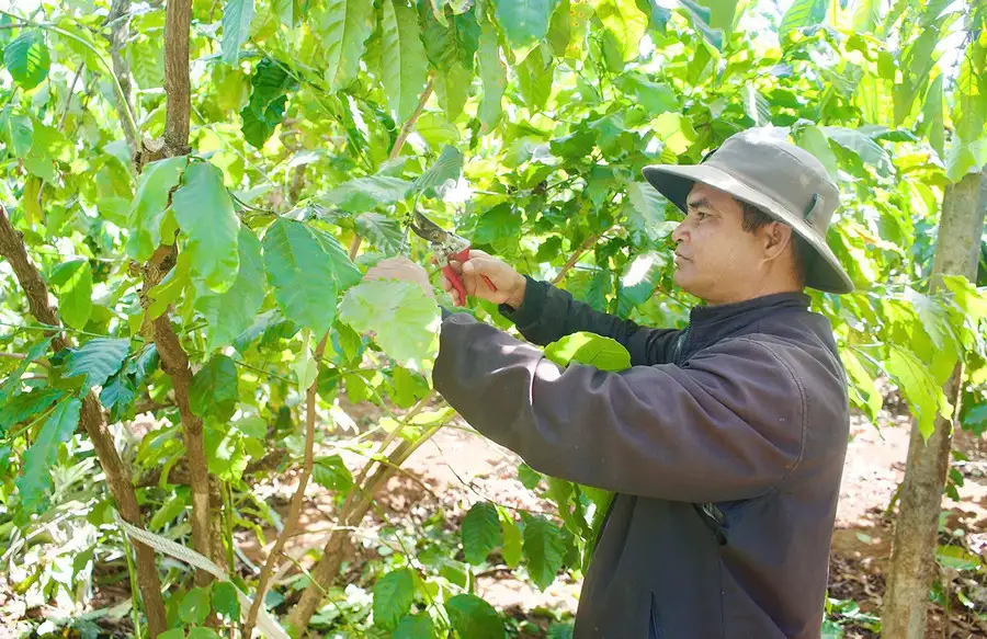 Đảng viên tiên phong, làng giảm nghèo bền vững