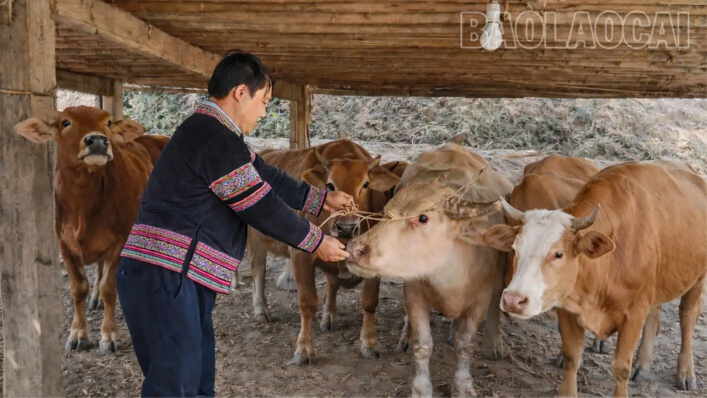 Diện mạo nông thôn mới ở Kể Cả