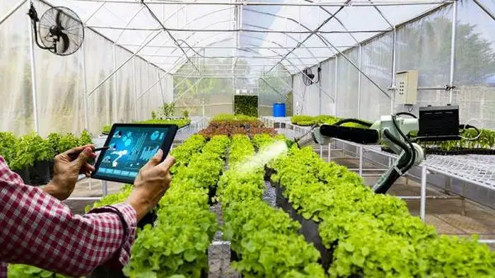 Đời sống người dân vùng cát đổi thay nhờ xây dựng nông thôn mới