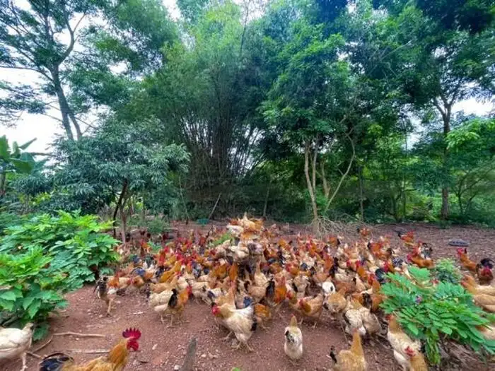 Đời sống người dân vùng cát đổi thay nhờ xây dựng nông thôn mới