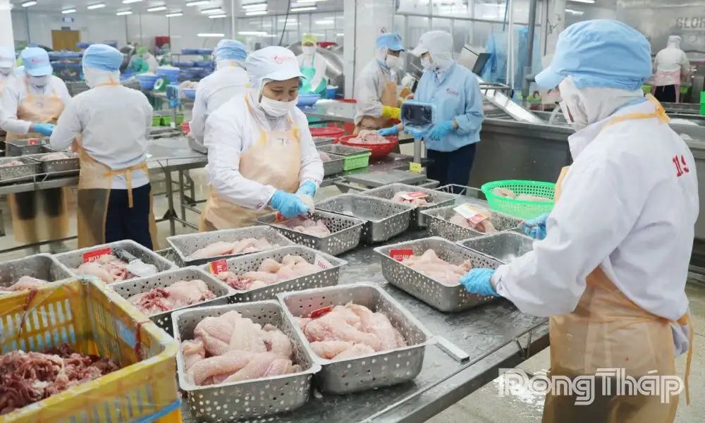 Đồng Tháp: Bứt phá xúc tiến, nâng tầm nông sản