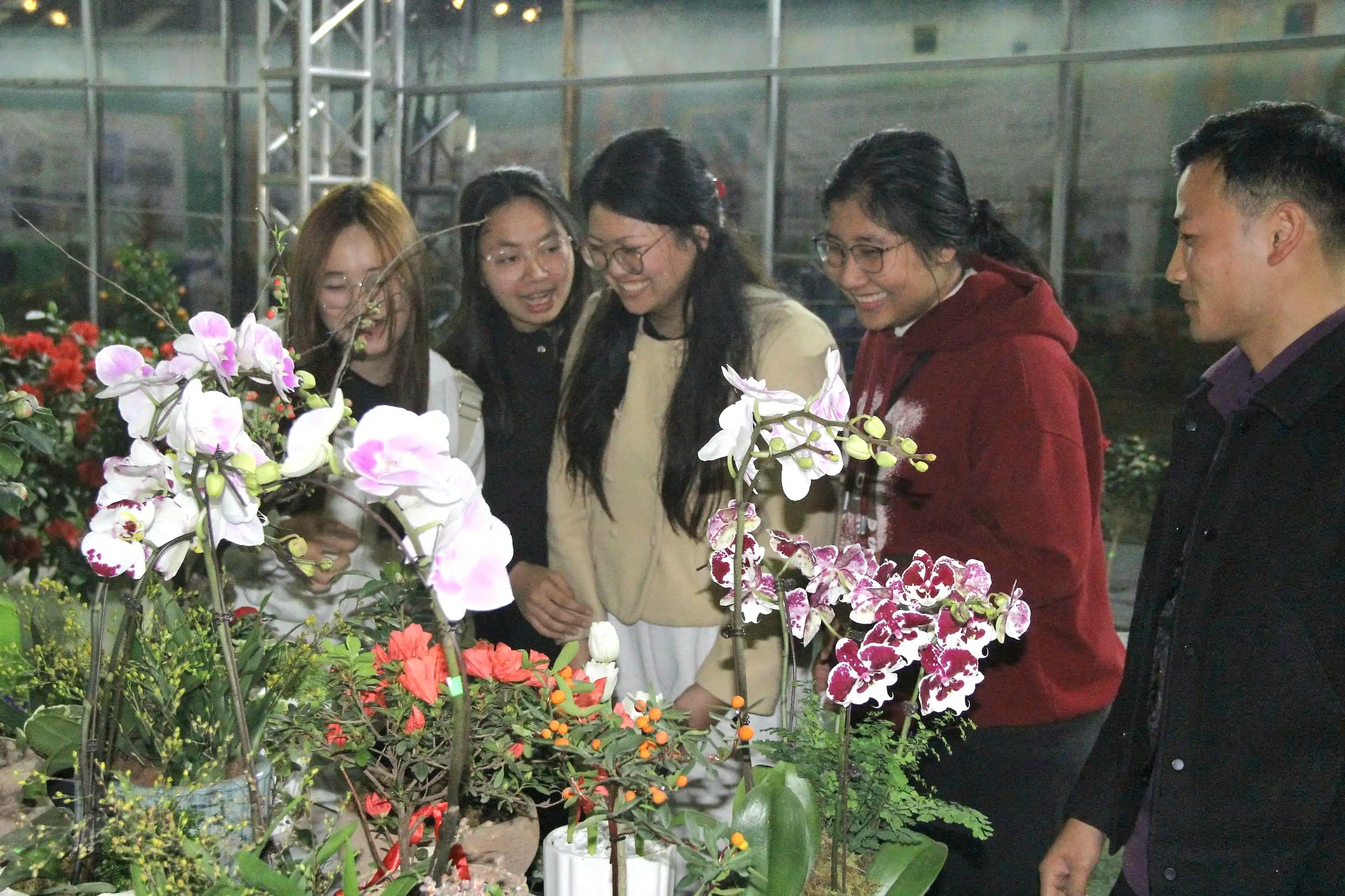 Đưa nông sản Việt vào không gian số