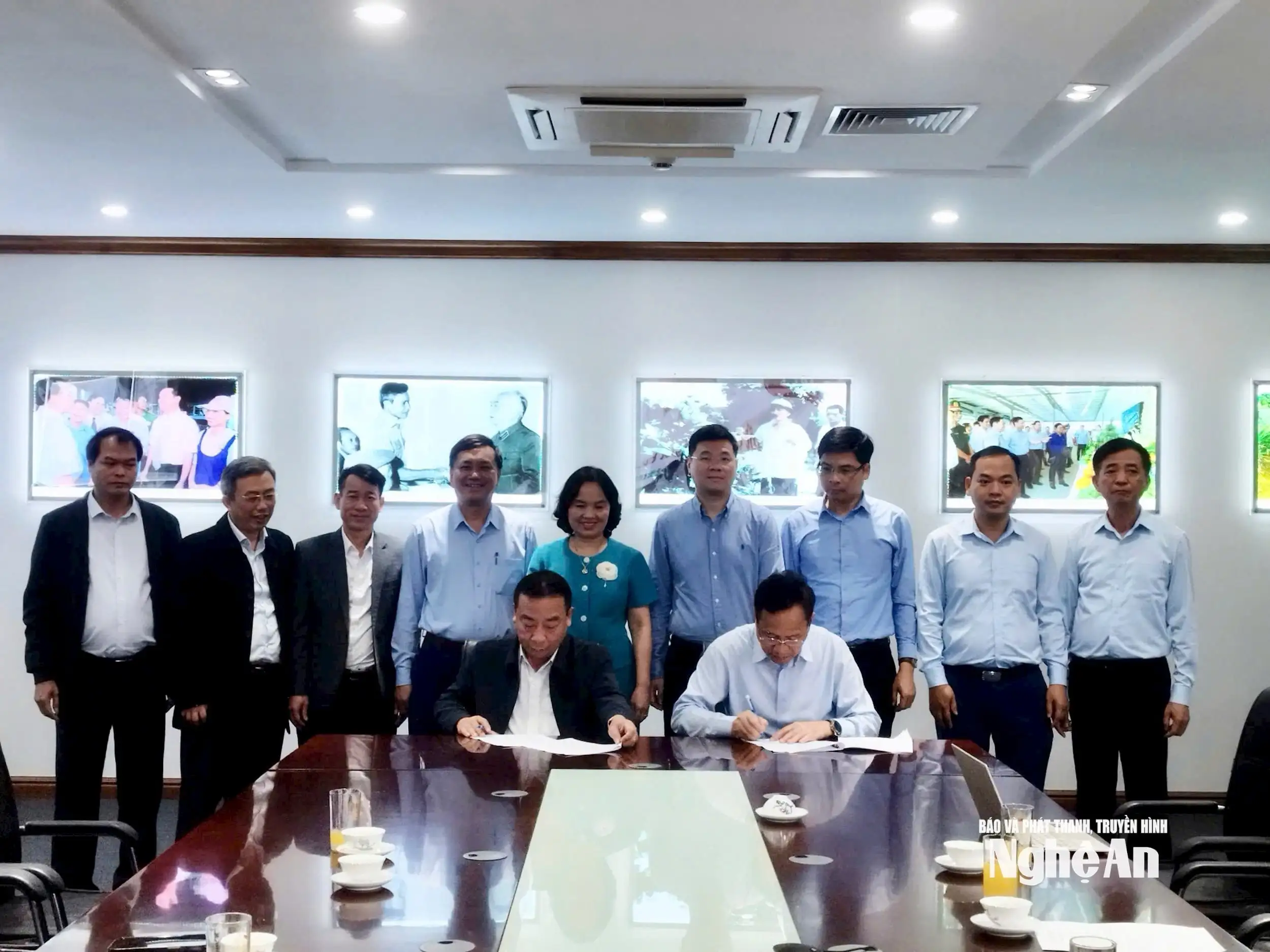 Dứa Queen mở hướng chuyển đổi cây trồng bền vững trên đất đồi