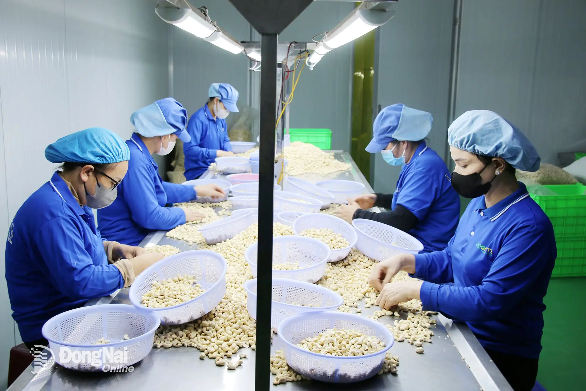 Ðưa sản phẩm địa phương “vươn ra biển lớn”