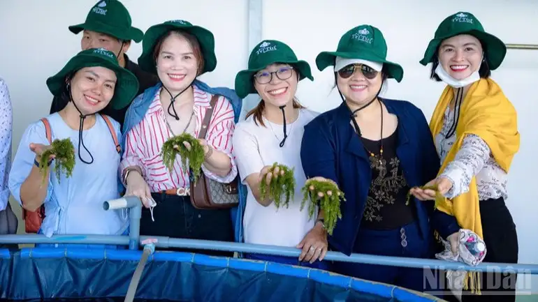 Đưa sản vật OCOP Khánh Hòa vươn xa