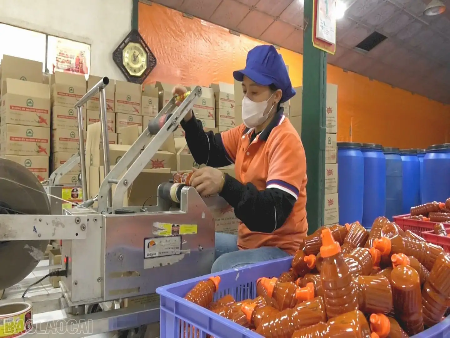 Gắn sao OCOP, tấm vé thông hành cho nông sản Lào Cai