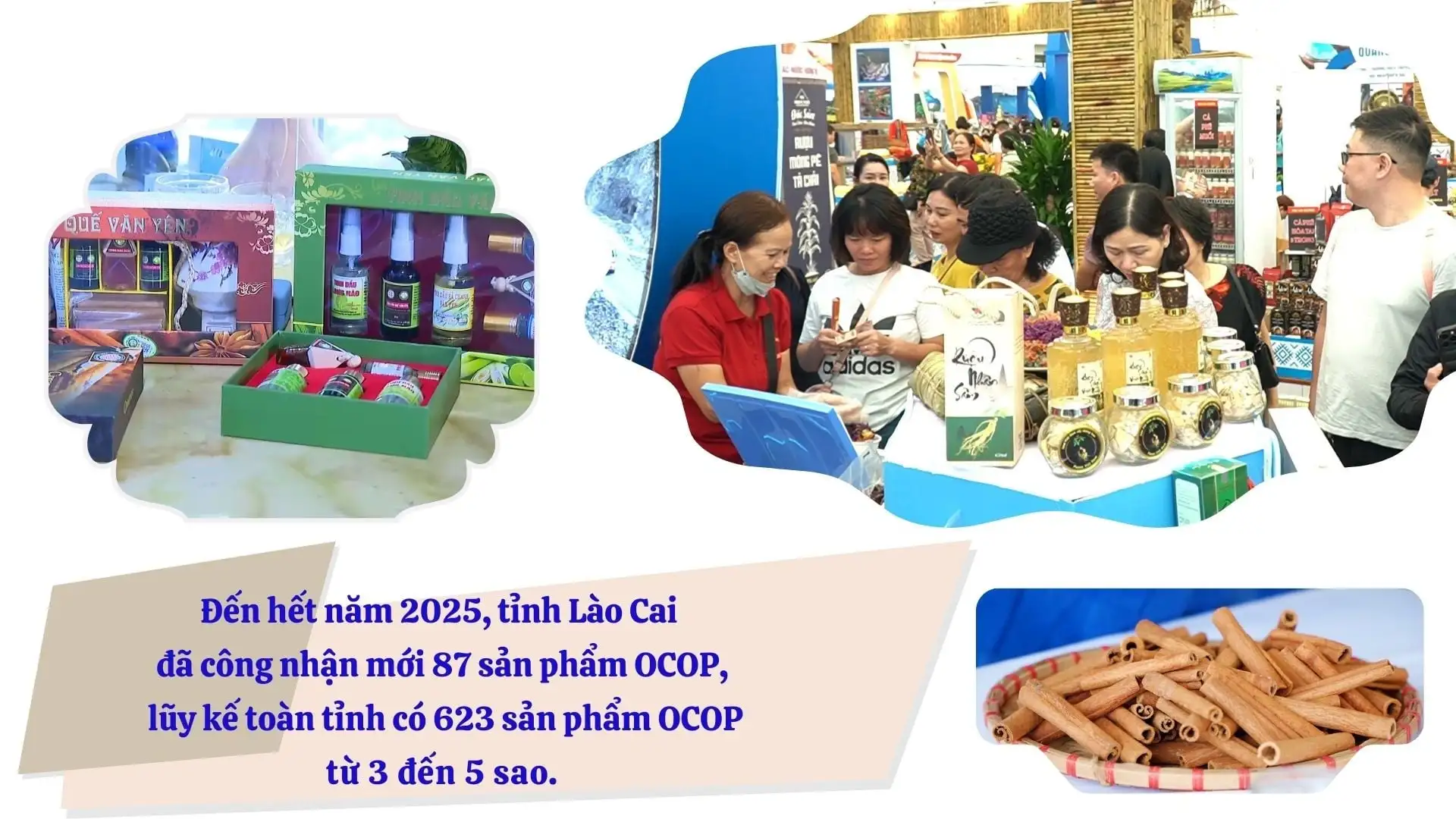 Gắn sao OCOP, tấm vé thông hành cho nông sản Lào Cai