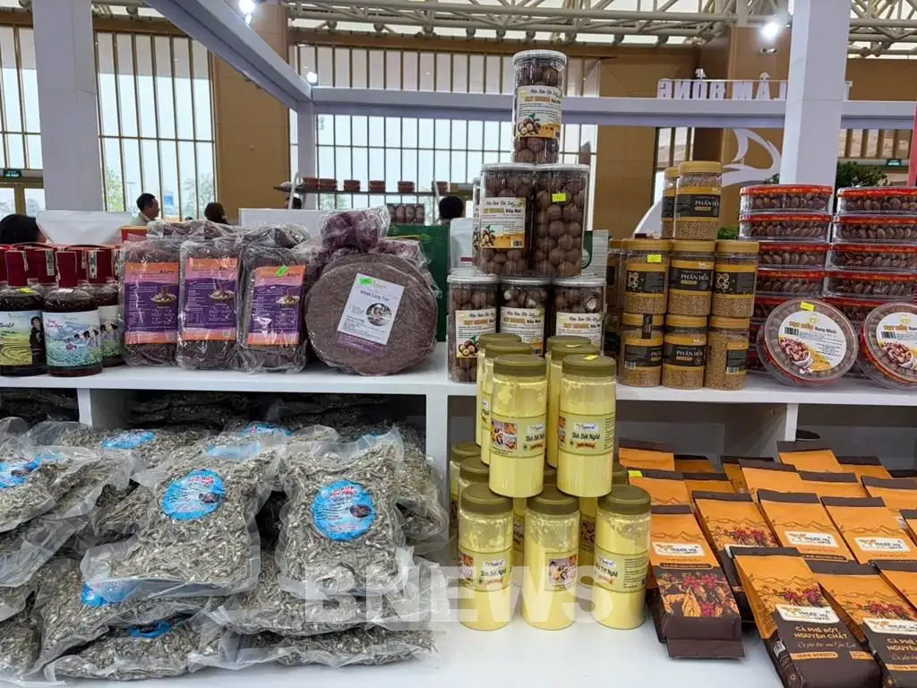 Gia Lai mang “hương sắc đại ngàn” đến Hội chợ Mùa Xuân 2026