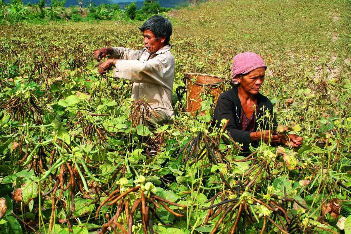 Gia Lai phấn đấu chỉ còn 1,43% hộ nghèo