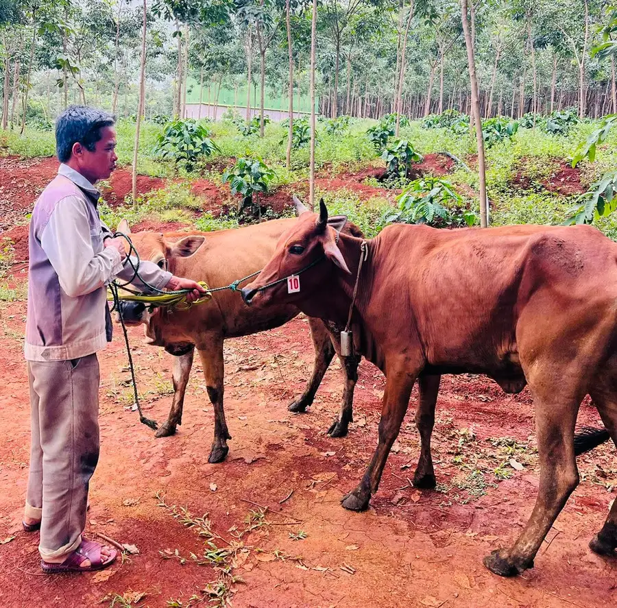 Giảm nghèo bền vững, mang mùa xuân về vùng biên
