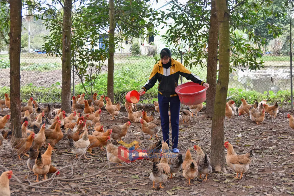 Giảm nghèo đa chiều, bền vững