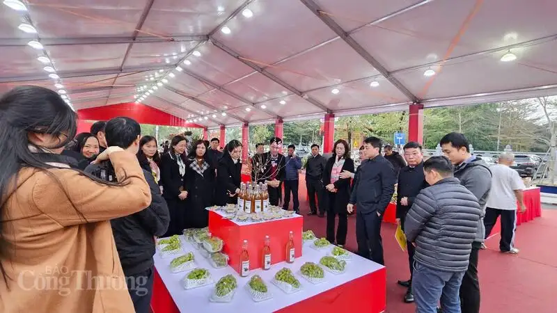 Hà Nội mở thêm gần 300 gian hàng OCOP phục vụ người dân dịp Tết 2026