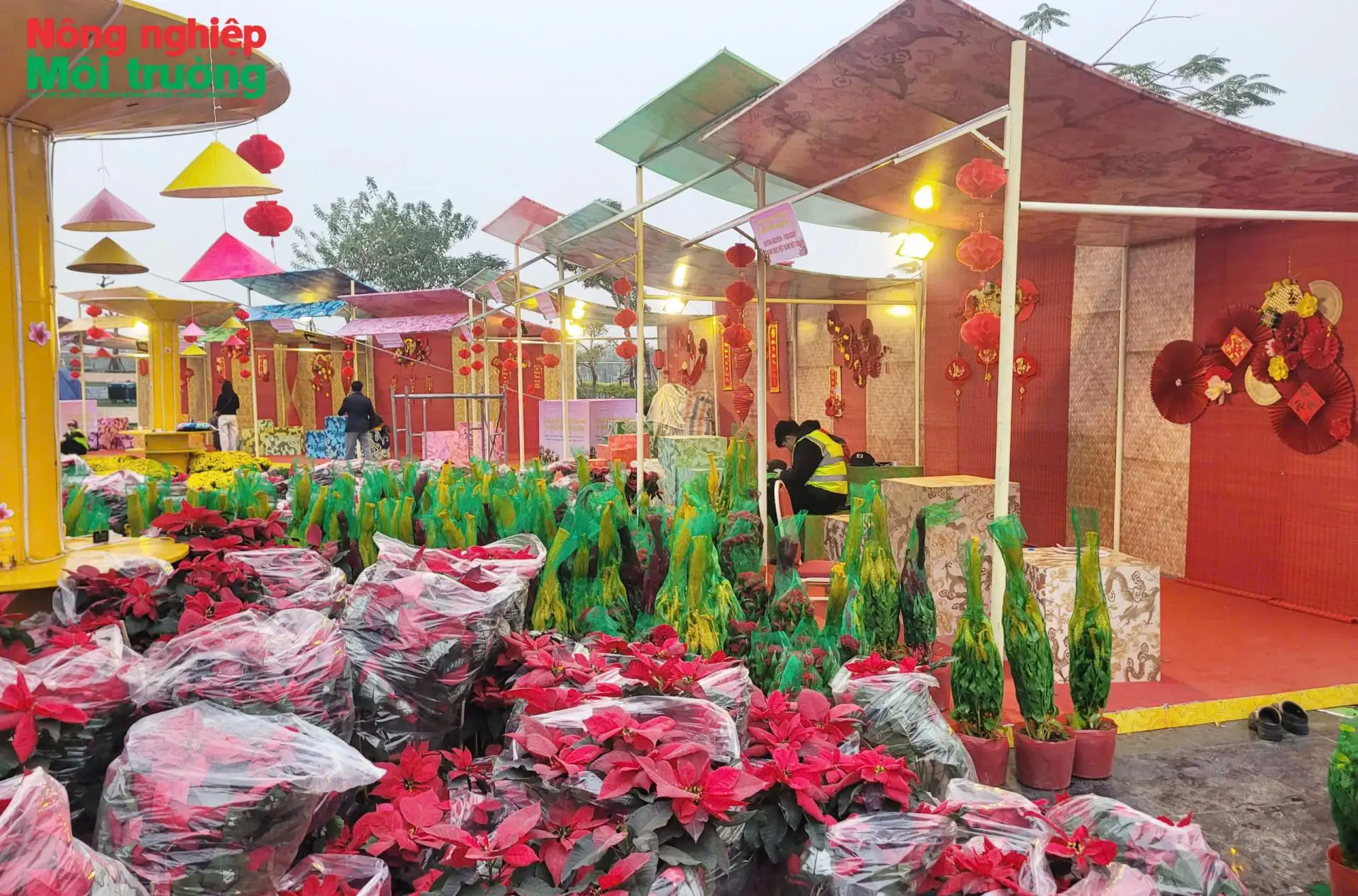 Hà Nội sẵn sàng cho lễ hội hoa cây cảnh, OCOP và đặc sản vùng miền năm 2026