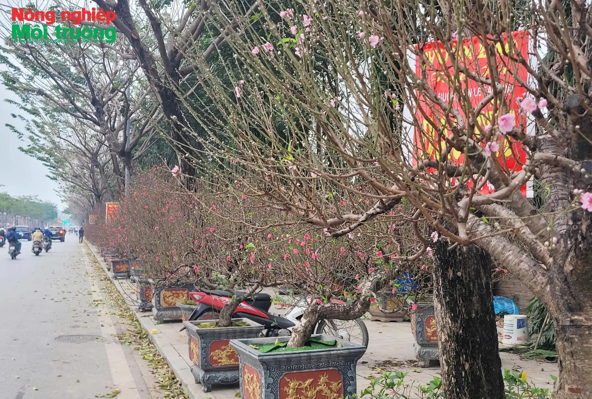 Hà Nội sẵn sàng cho lễ hội hoa cây cảnh, OCOP và đặc sản vùng miền năm 2026