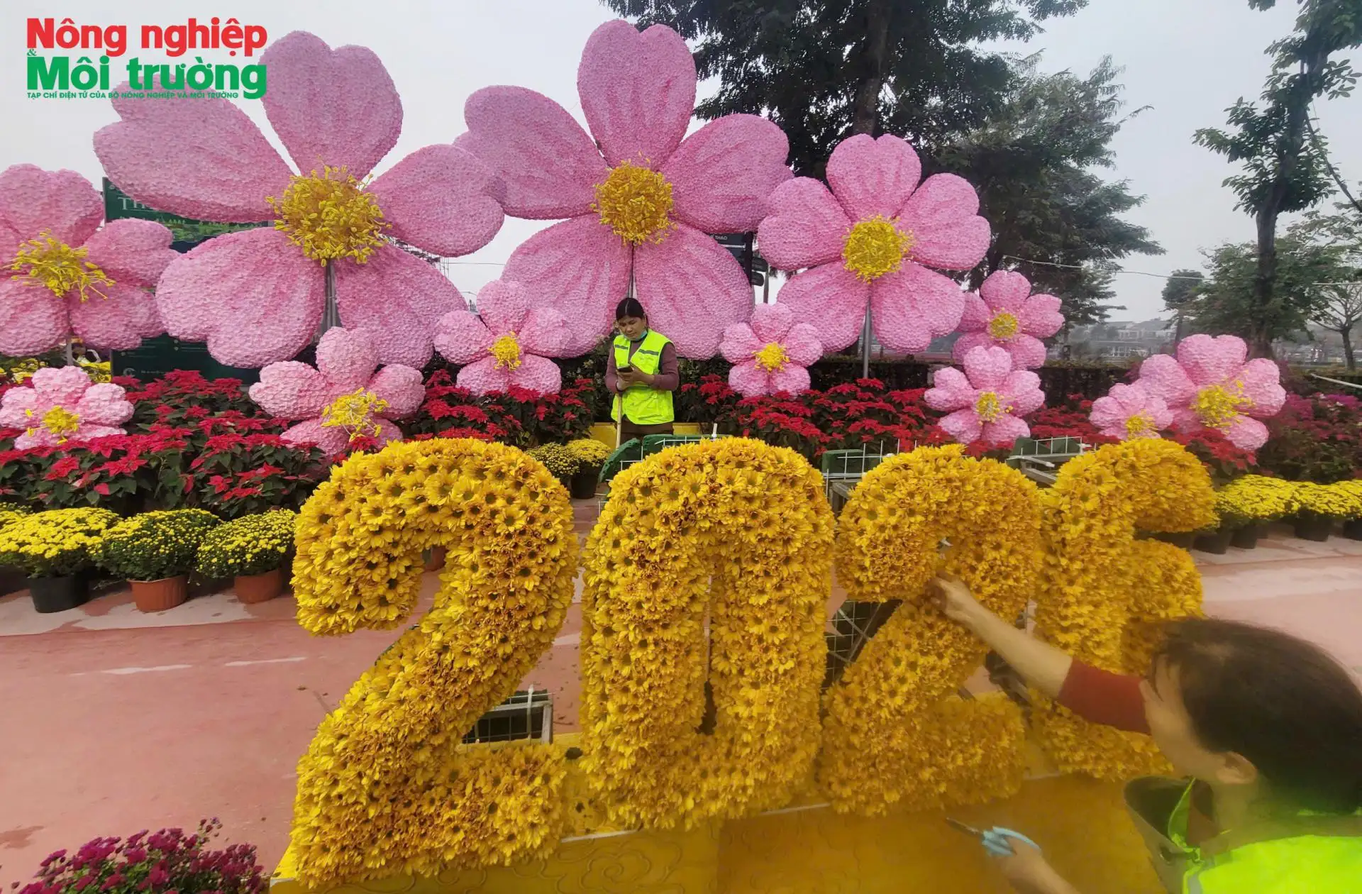 Hà Nội sẵn sàng cho lễ hội hoa cây cảnh, OCOP và đặc sản vùng miền năm 2026