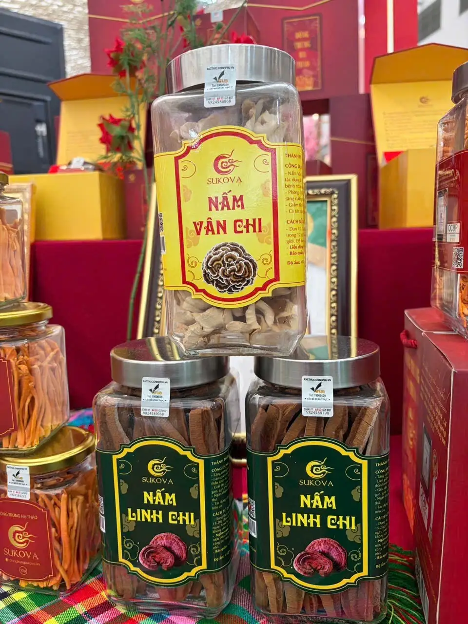 Hội chợ Mùa Xuân 2026: Dược liệu OCOP công nghệ cao kỳ vọng bứt phá