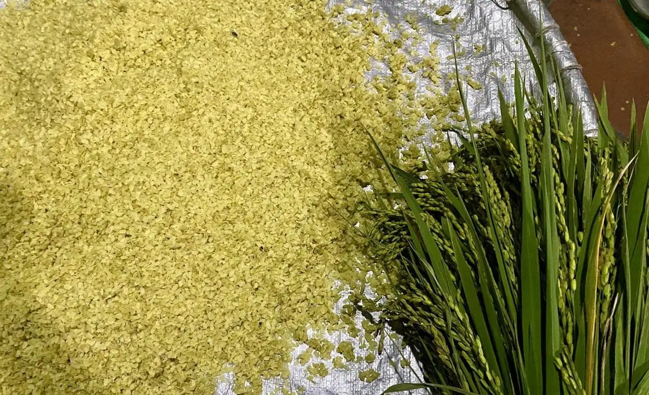 Hợp tác xã Cốm mộc Ngô Thức: Chăm sóc từng hạt lúa non để bảo tồn văn hóa và phát triển bền vững