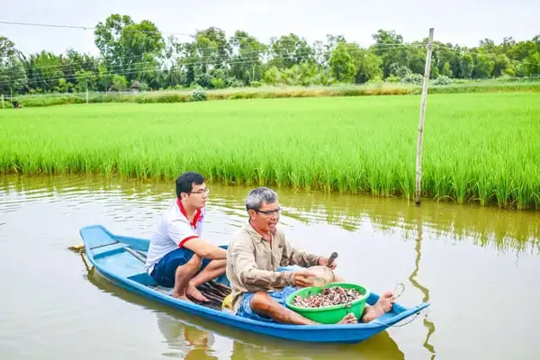 Hợp tác xã “gỡ khó”, mở lối tiêu thụ nông sản