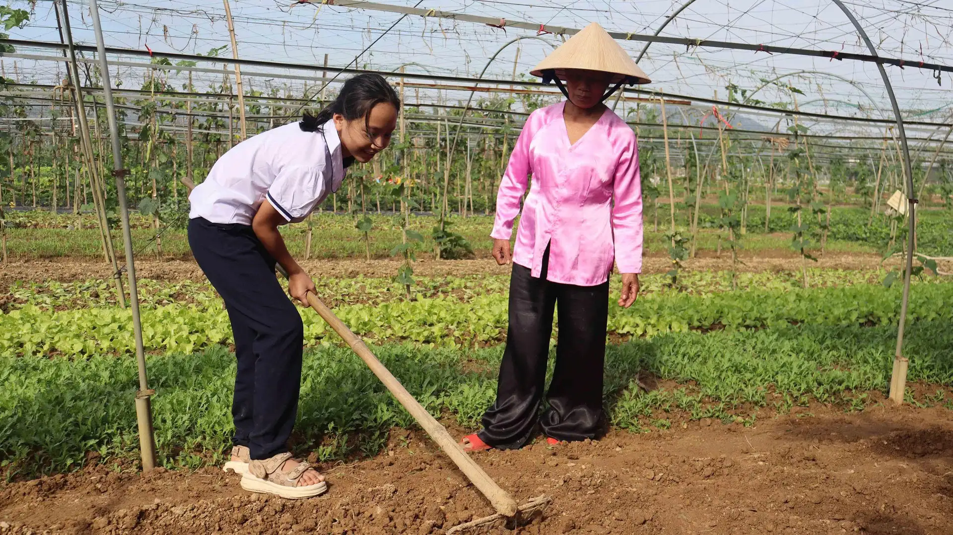 Hướng đi bền vững từ phát triển sản phẩm OCOP gắn với du lịch