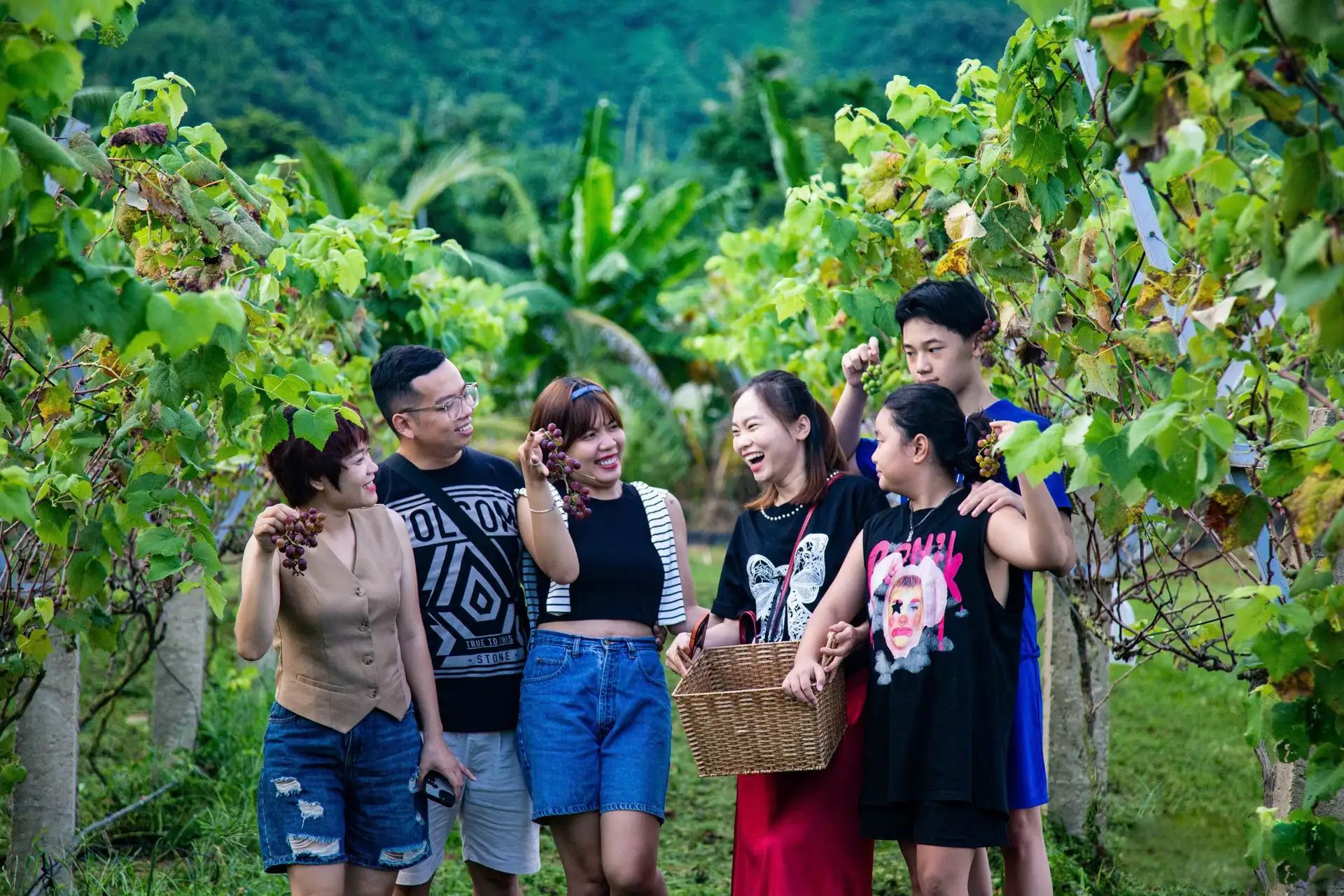 Hướng đi bền vững từ phát triển sản phẩm OCOP gắn với du lịch