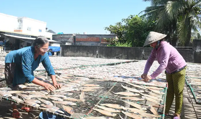 Hương vị Tết ở Làng nghề cá khô Bình Thắng