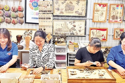 Khai mạc hoạt động trưng bày sản phẩm OCOP mừng Xuân Bính Ngọ năm 2026