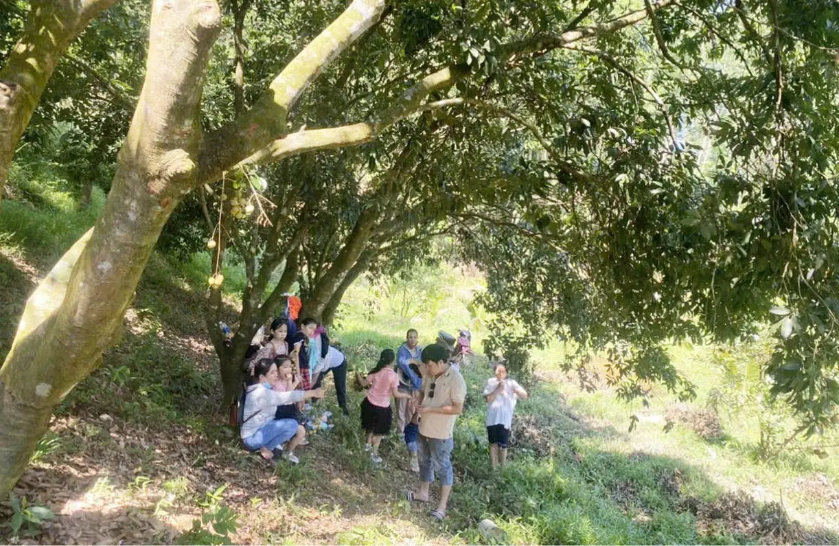 Khi nông dân làm du lịch