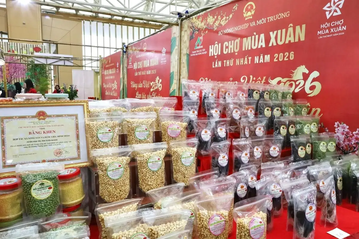 Khơi thông dòng chảy nông sản từ canh tác, chế biến đến tiêu thụ