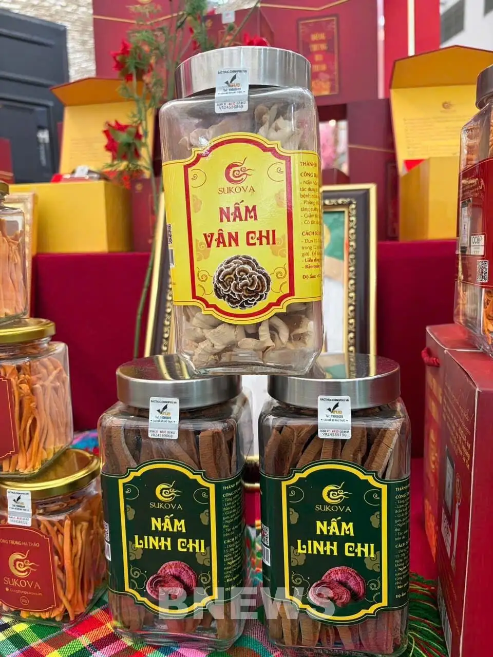 Lai Châu quảng bá OCOP, nông sản tại Hội chợ Mùa Xuân 2026