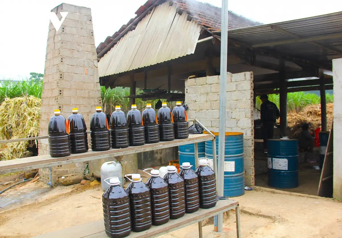 Làng mật mía ở Nghệ An hối hả vào vụ Tết