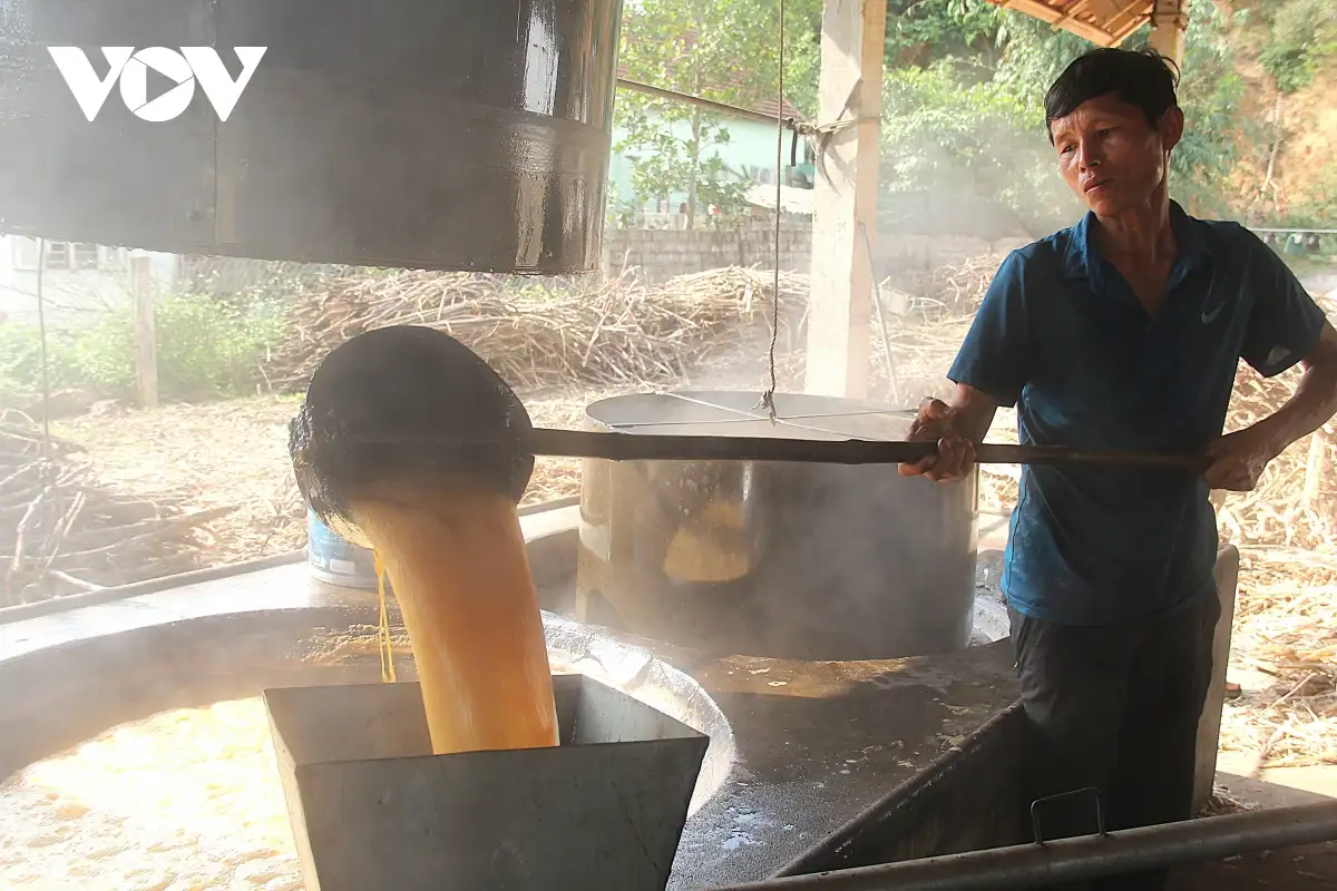 Làng mật mía ở Nghệ An hối hả vào vụ Tết