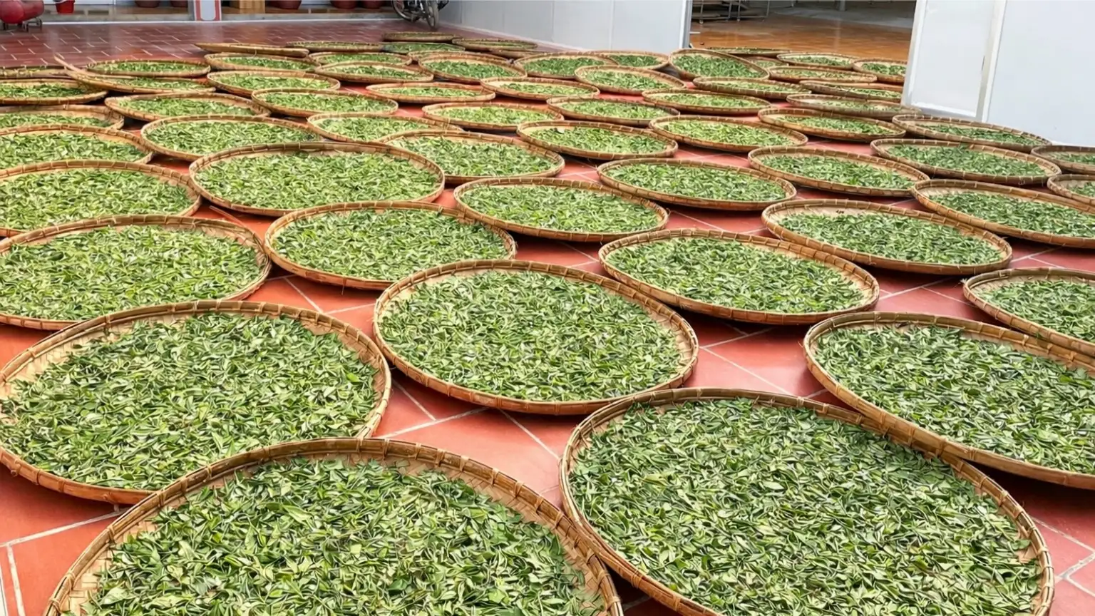 Lào Cai tăng cường giải pháp giảm nghèo đa chiều