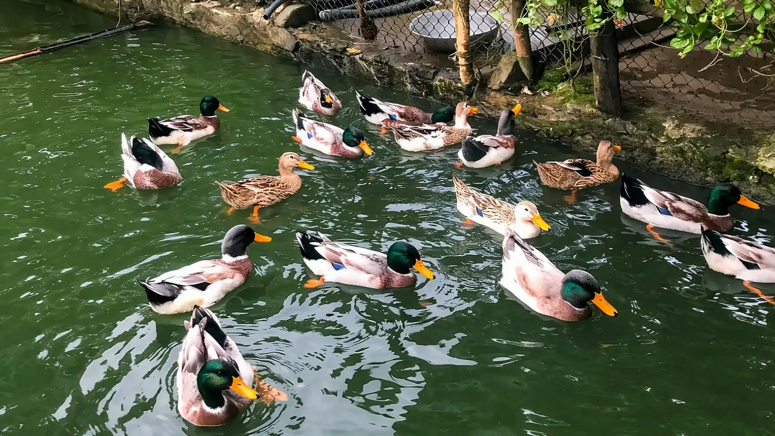 Lào Cai tăng cường giải pháp giảm nghèo đa chiều