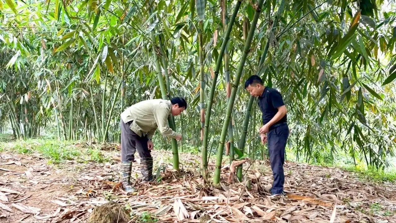 Lào Cai tăng cường giải pháp giảm nghèo đa chiều