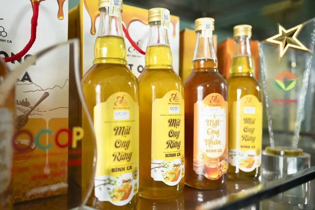 Mật ong rừng Bình Ca: Món quà nguyên sơ của đất trời