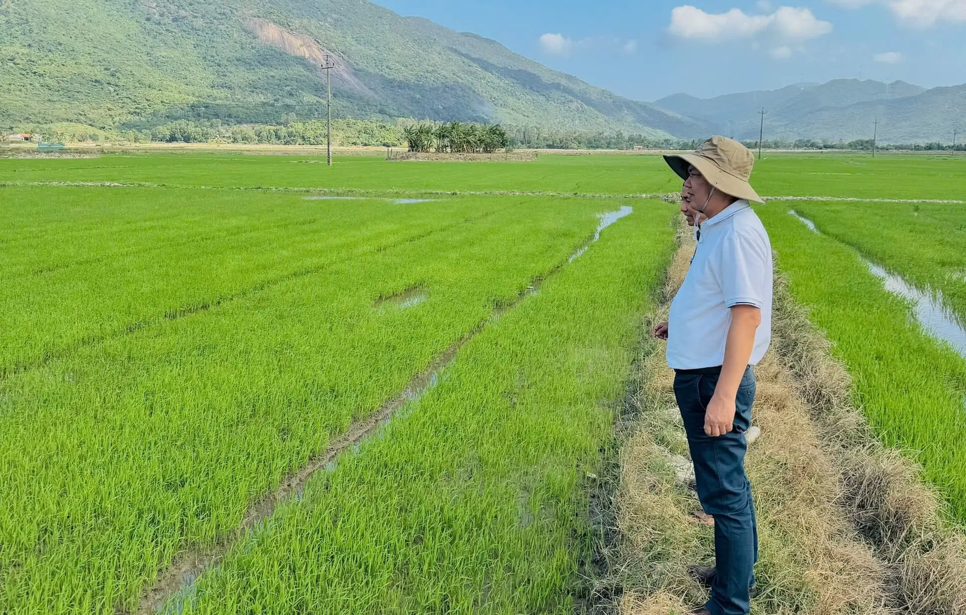 Miền Trung – Tây Nguyên tập trung bảo vệ sản xuất dịp Tết