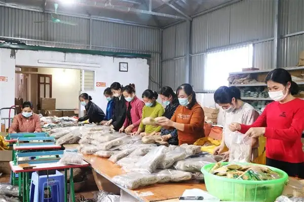 Nâng cao giá trị sản phẩm OCOP