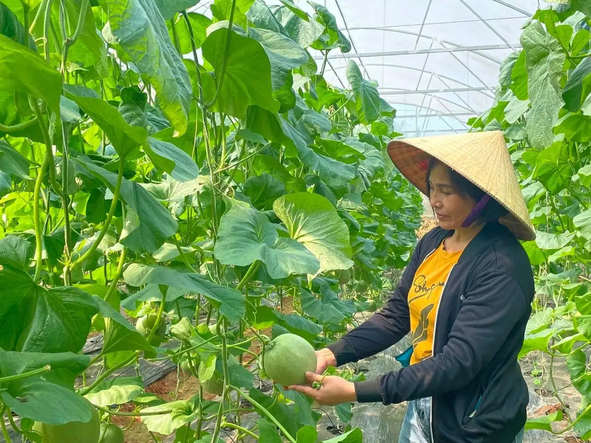 Nâng chuẩn chất lượng, nông sản Việt chinh phục thị trường khó tính