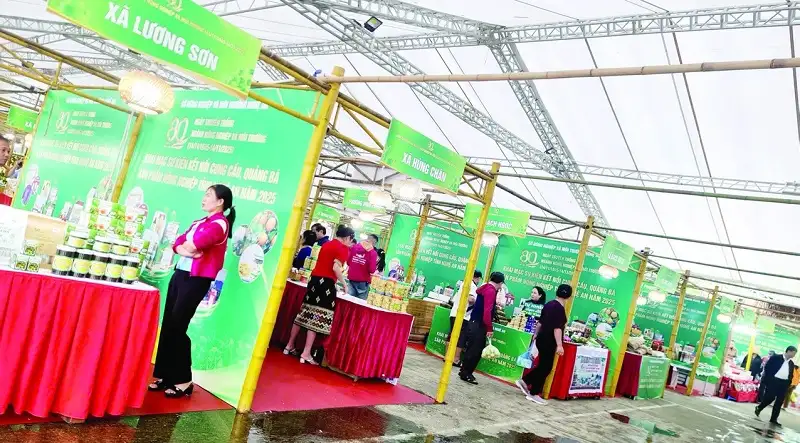 Nghệ An: Tốp đầu cả nước trong hành trình khẳng định thương hiệu OCOP