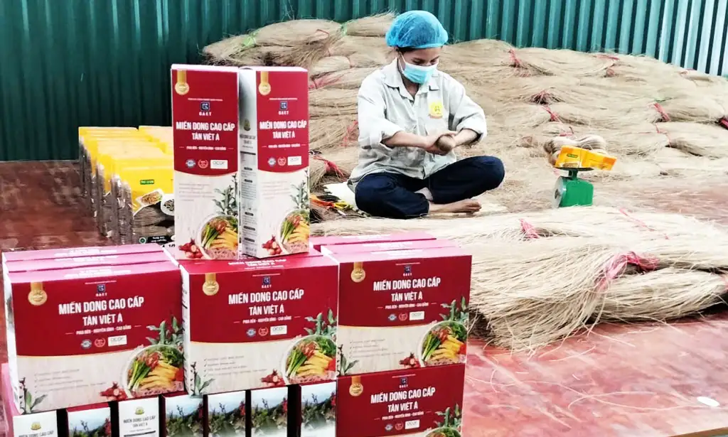 Những doanh nghiệp, hợp tác xã “đầu tàu” kết nối chuỗi giá trị nông sản