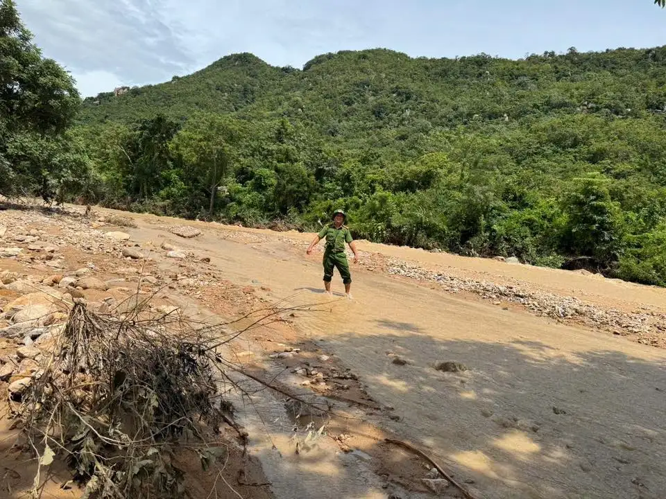 Nơi này ở Bình Thuận, nay là tỉnh Lâm Đồng từng ví là “đất chết”, sau vụ vỡ hồ chứa, bất ngờ cánh đồng lúa đẹp thế