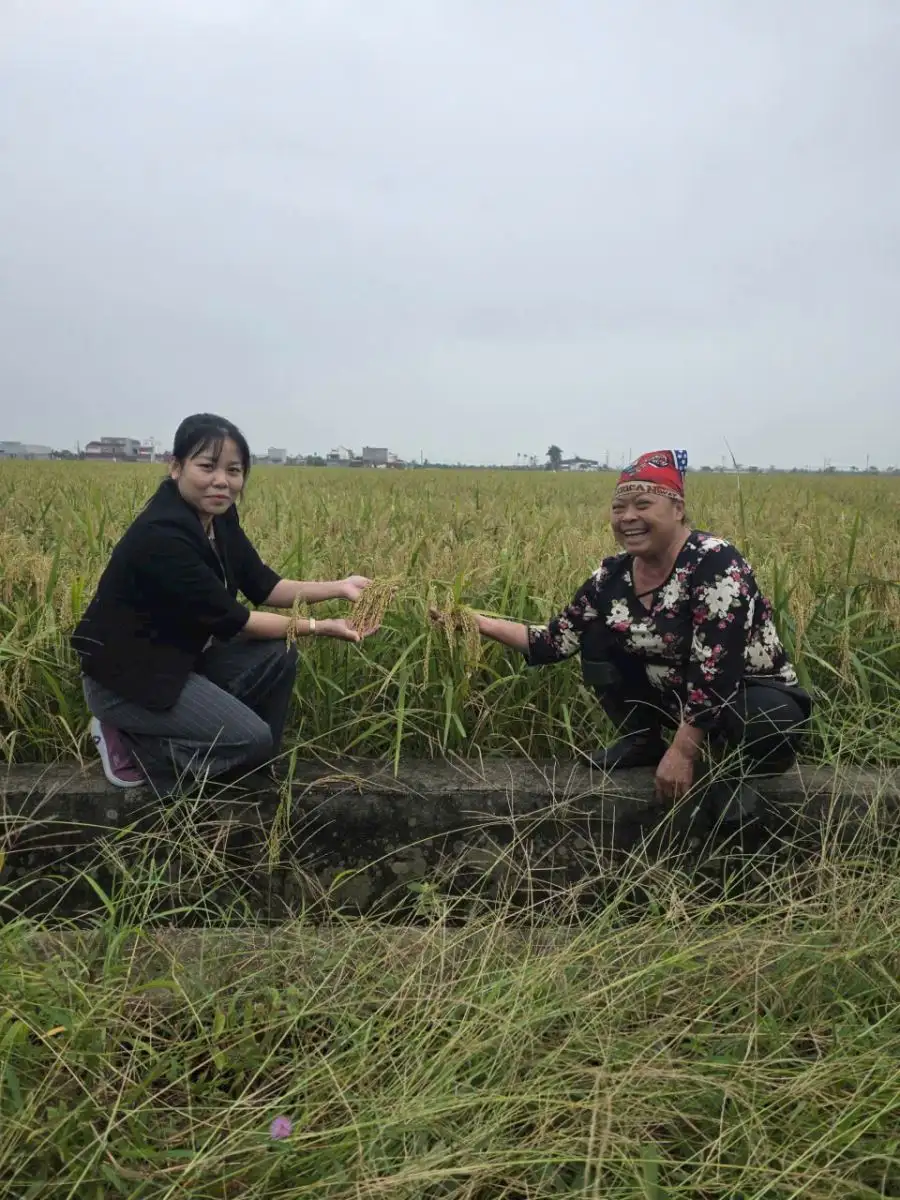 Nông thôn Hải Phòng khởi sắc từ phong trào nông dân thi đua sản xuất kinh doanh giỏi